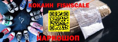 a pvp Камышлов