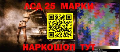 a pvp Камышлов