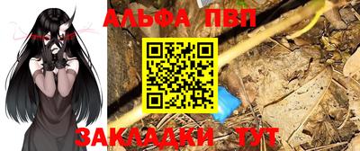 a pvp Камышлов