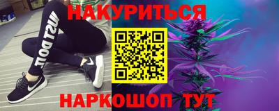 a pvp Камышлов