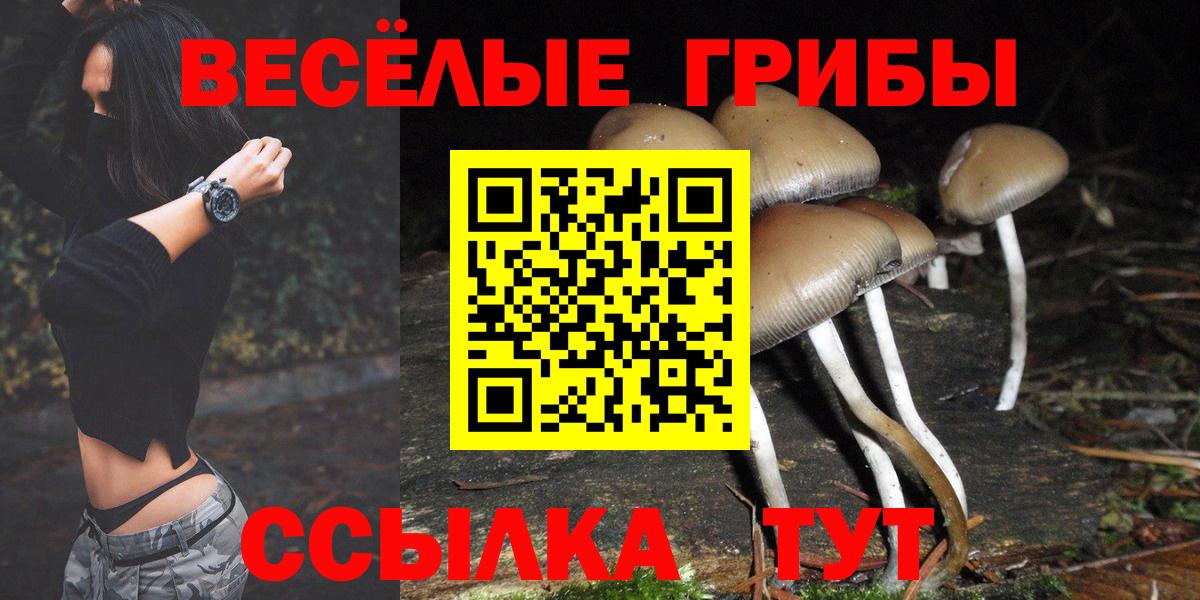 Красноярск  Галлюциногенные грибы Psilocybine cubensis  Вход с VPN 